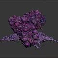 Purple Organ And Hair Resembling Structures With Large Base And Small Formation