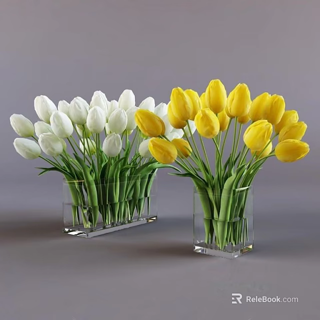 Two Transparent Square Vases Holding White And Yellow Tulips On Gray Background 3d model 