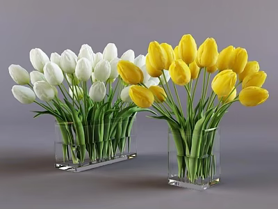 Two Transparent Square Vases Holding White And Yellow Tulips On Gray Background 3d model