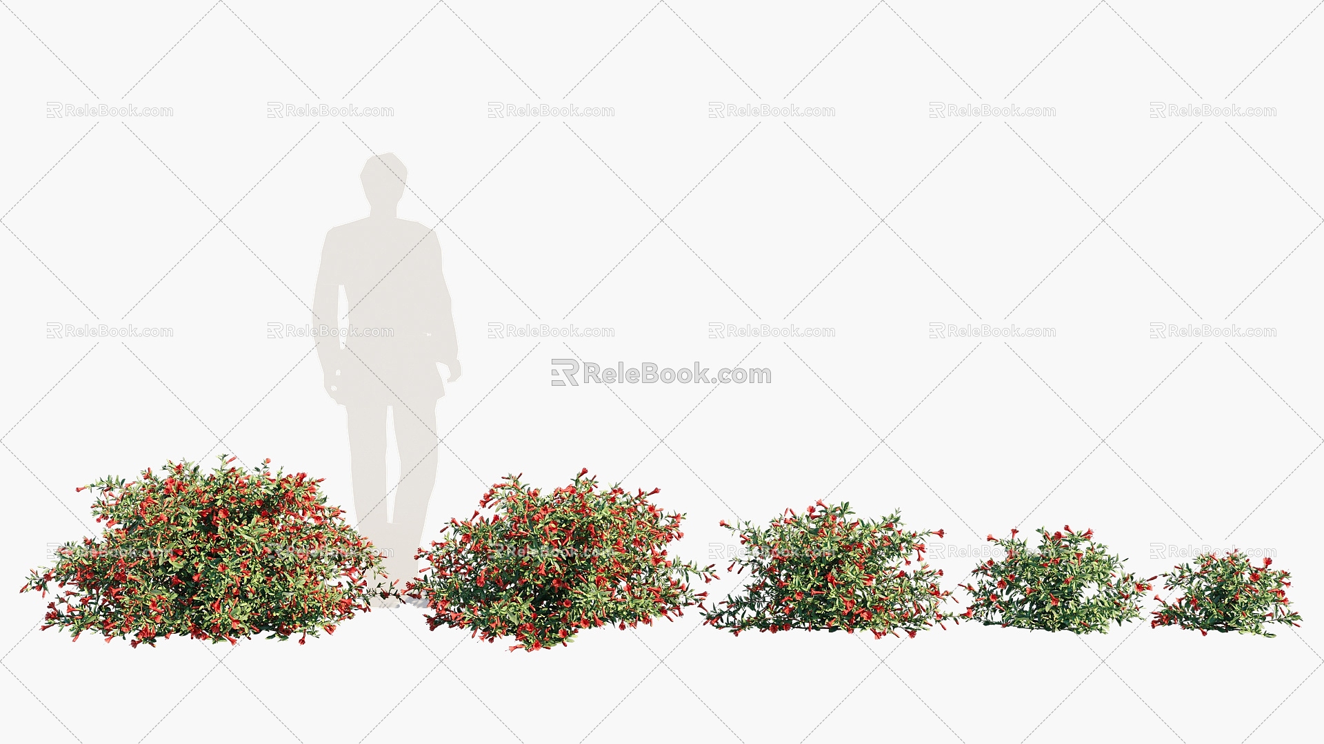 shrubs flowers flowers 3d model