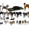 Various Dog Breeds Standing Together On Tiled Floor Indoors