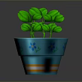 Green Potted Plant With Fresh Leaves In Blue Flower Patterned Pot With Orange Stripes