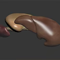 3D Anatomical Model of Human Organs Displaying Liver Gallbladder and Stomach Details