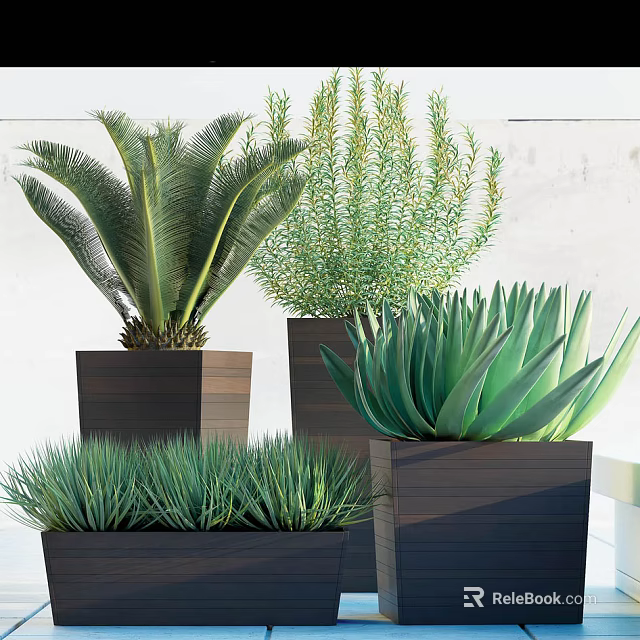 Varied Bonsai Potted Plants Featuring Green Palms Shrubs And Aloe In Dark Square Pots 3d model 
