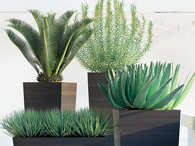 Varied Bonsai Potted Plants Featuring Green Palms Shrubs And Aloe In Dark Square Pots 3d model