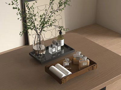 Decorative Ornament Set With Black Brown Trays Vase Branches Small Bottles And White Rolls 3d model