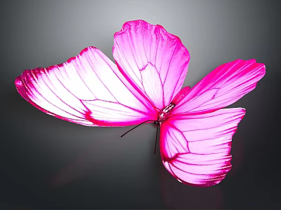 Stunning Pink Butterfly with Spread Wings and Detailed Wing Patterns on Dark Background 3d model