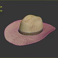 Woven Straw Hat With Wide Brim And Brown Band For Summer Daily Use