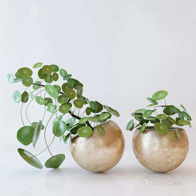 Two Green Round Leaf Potted Plants with Hanging Vines in Golden Decorative Pots 3d model 