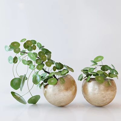 Two Green Round Leaf Potted Plants with Hanging Vines in Golden Decorative Pots 3d model