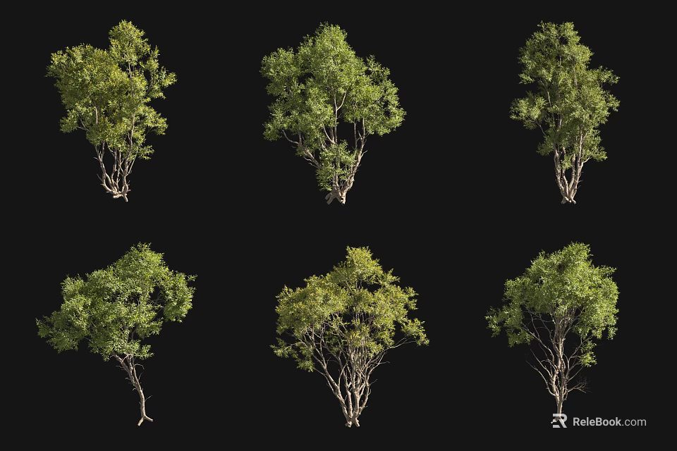 Various Arbor Trees In Different Forms With Green Foliage Isolated On Black Background 3d model