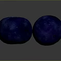 Two Plump Deep Blue Blueberries With Glossy Surface And Fresh Look