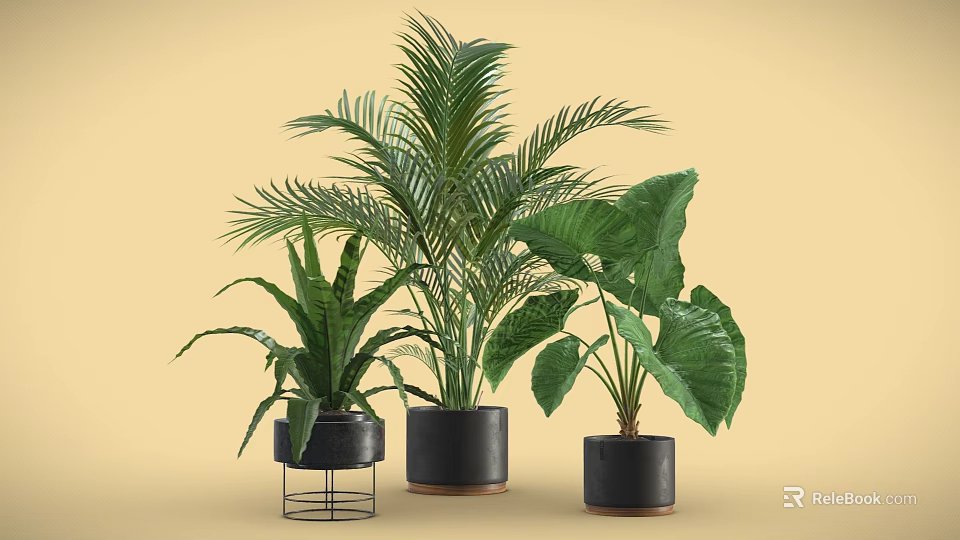 Potted Palm and Large Leaf Plants in Black Ceramic Pots with Metal Stand 3d model 