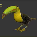 Tropical Toucan Bird with Vibrant Green Beak Yellow Chest Black Feathers and Blue Feet