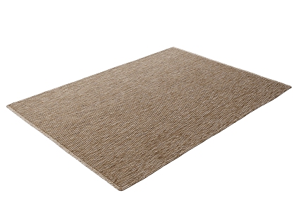 Modern Carpet 3d model