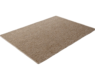 Modern Carpet 3d model