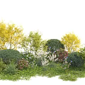 Lush Shrub Landscape Featuring Green Yellow Foliage And Colorful Flowers On Grass