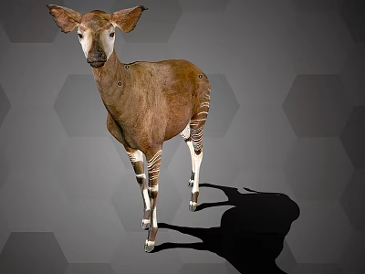 Brown And White Antelope With Leg Stripes Standing On Hexagon Background 3d model