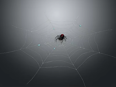 Black Spider With Red Mark On Web Gray Background And Water Droplets 3d model