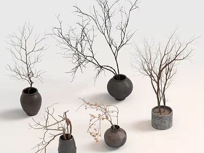 Bonsai Potted Plants With Bare Branches In Various Ceramic And Stone Pots 3d model