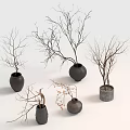 Bonsai Potted Plants With Bare Branches In Various Ceramic And Stone Pots