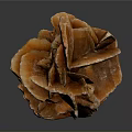 Wood Stone With Orange Red Flower Shaped Layered Structure And Glossy Texture