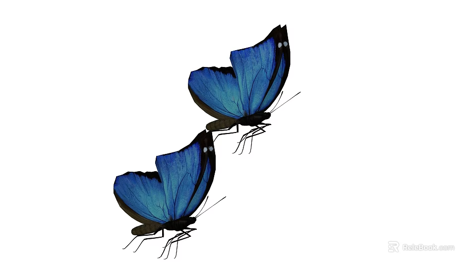 Two Blue Flying Butterflies With Vibrant Wings On White Background 3d model 