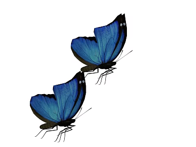 Two Blue Flying Butterflies With Vibrant Wings On White Background 3d model