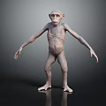Hairless Skinny Monkey Standing With Long Limbs And Bald Head On Dark Background