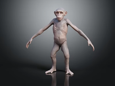 Hairless Skinny Monkey Standing With Long Limbs And Bald Head On Dark Background 3d model