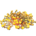 Beautiful Yellow Roses Blooming In A Lush Garden Bush With Green Leaves