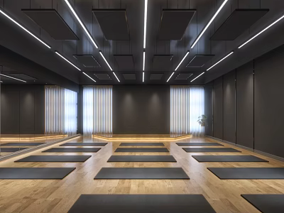 Indoor Yoga Fitness Studio With Neatly Arranged Mats Wooden Floor And Modern Lighting 3d model