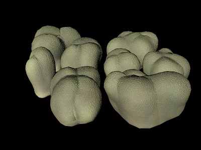 Modern Coral Undersea Coral 3d model