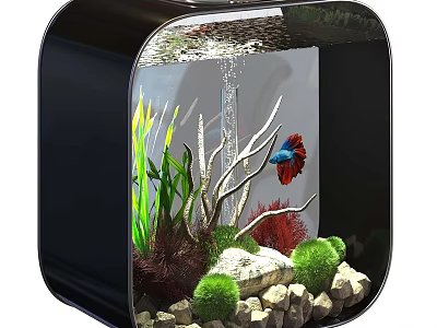 Square Black Fish Tank Aquarium With Aquatic Plants Stones And Betta Fish 3d model