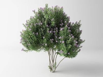 Lush Tree With Green Leaves And Purple Small Flowers On Multiple Trunks 3d model