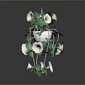Trailing Hanging Plant With White Blooms And Lush Green Leaves In Decorative Pot