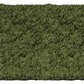Green Plant Wall Vertical Garden with Lush Foliage for Indoor Natural Decor