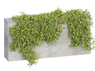 Vines With Green Leaves And Yellow Flowers Growing On Concrete Wall Surface 3d model