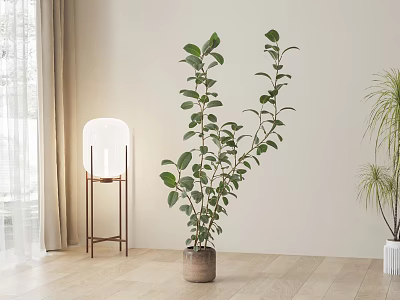 Tall Indoor Potted Plant With Lush Green Leaves In Modern Room With Light Wooden Floor 3d model
