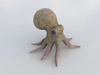 Detailed Spotted Octopus With Bulbous Body Purple Eyes And Pink Tentacles 3d model