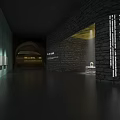 Fourth Imperial Cat Exhibition At Palace Museum In Cave Space With Green Walls Golden Projections