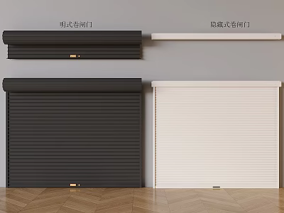 Surface Mounted And Concealed Barn Doors In Space 3d model