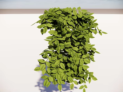 Lush Green Leafy Vines Forming Decorative Shape Against White Background 3d model