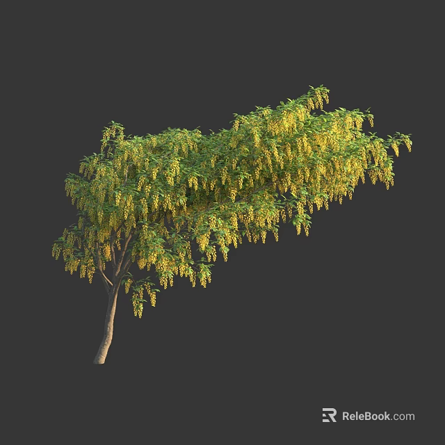 Lush Green Leafy Tree With Hanging Yellow Blossoms And Brown Trunk 3d model 