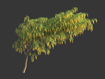 Lush Green Leafy Tree With Hanging Yellow Blossoms And Brown Trunk 3d model