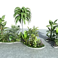Lush Outdoor Flowers and Plants with Palm Trees Banana Leaf Ferns Curved Planter Beds