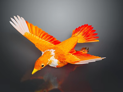 Vibrant Orange And White Bird With Spread Wings On Dark Reflective Surface 3d model