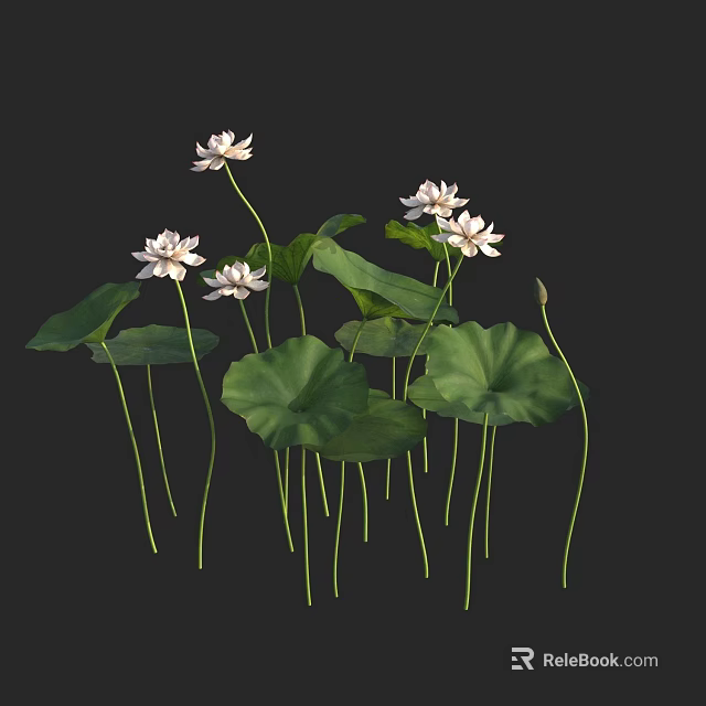 Lush Aquatic Plants With White Lotus Flowers And Green Leaves 3d model 