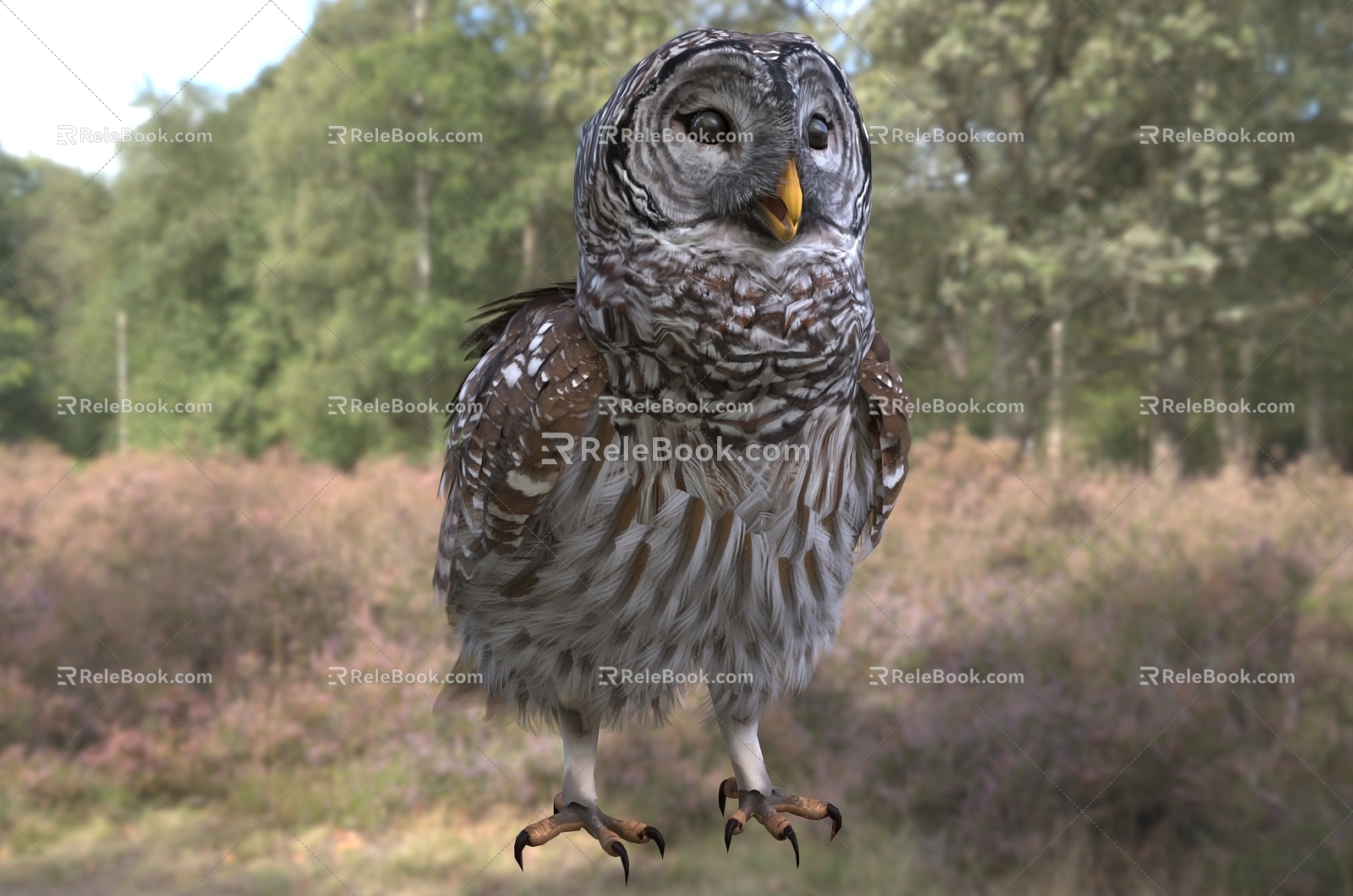 Modern Cross-spotted Forest Owl Animal Biological Birds 3d model