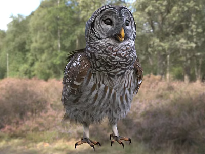 Perched Feathered Owl in Forest With Purple Heather and Talon Details 3d model